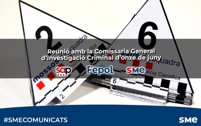 Reunió amb la Comissaria General d’Investigació Criminal d’onze de juny