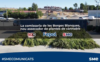 La comissaria de les Borges Blanques, nou assecador de plantes de cànnabis